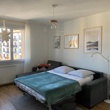 Appartement Cosy Proche Du Centre Annecy Buitenkant foto