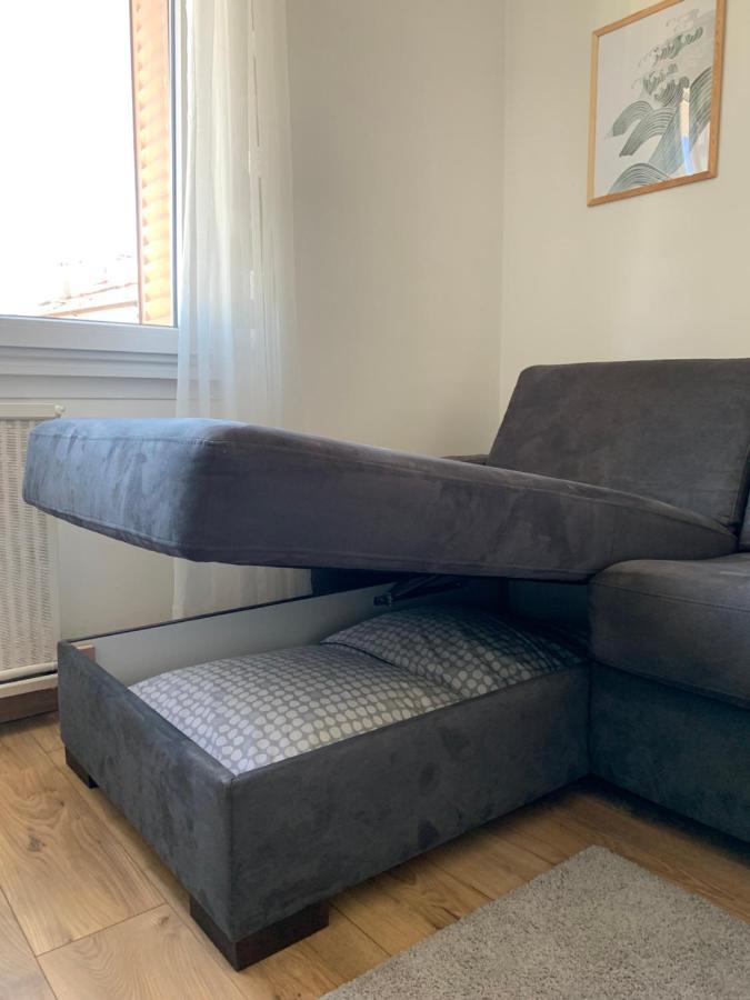 Appartement Cosy Proche Du Centre Annecy Buitenkant foto